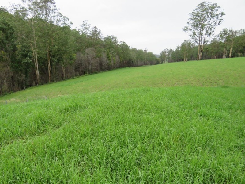 3002 Pappinbarra Rd, Pappinbarra NSW 2446