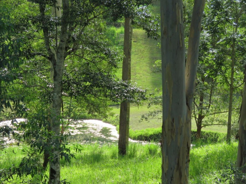 707 Bellingen Road, Missabotti NSW 2449