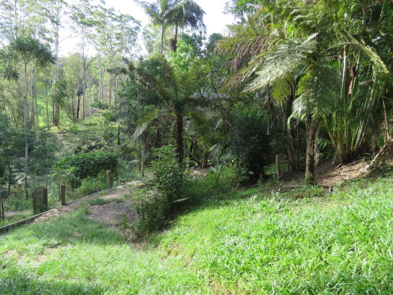 707 Bellingen Road, Missabotti NSW 2449