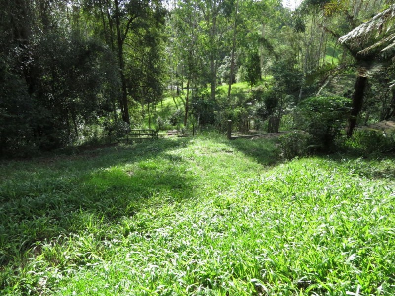 707 Bellingen Road, Missabotti NSW 2449