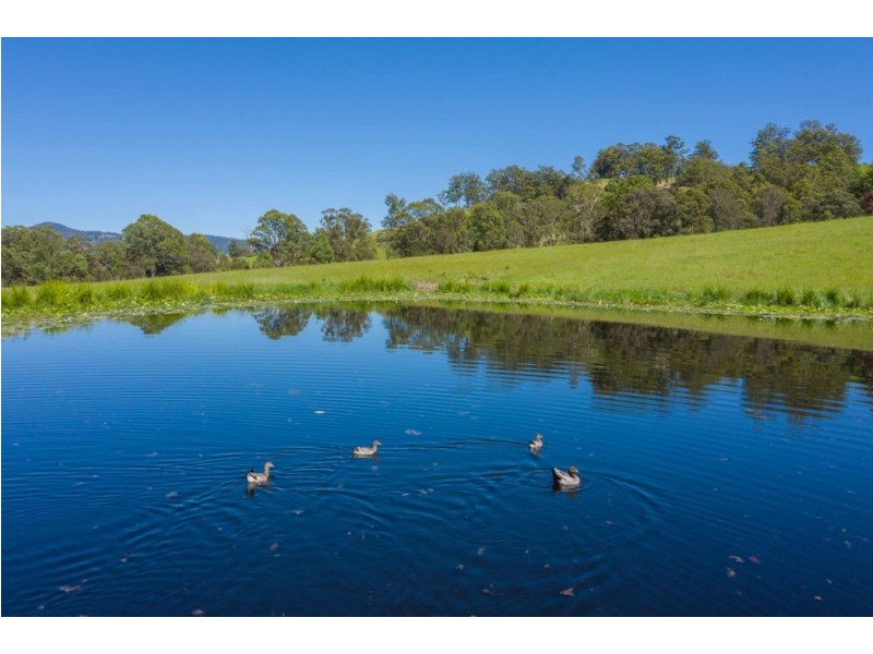 25 JONES ROAD, Byabarra NSW 2446