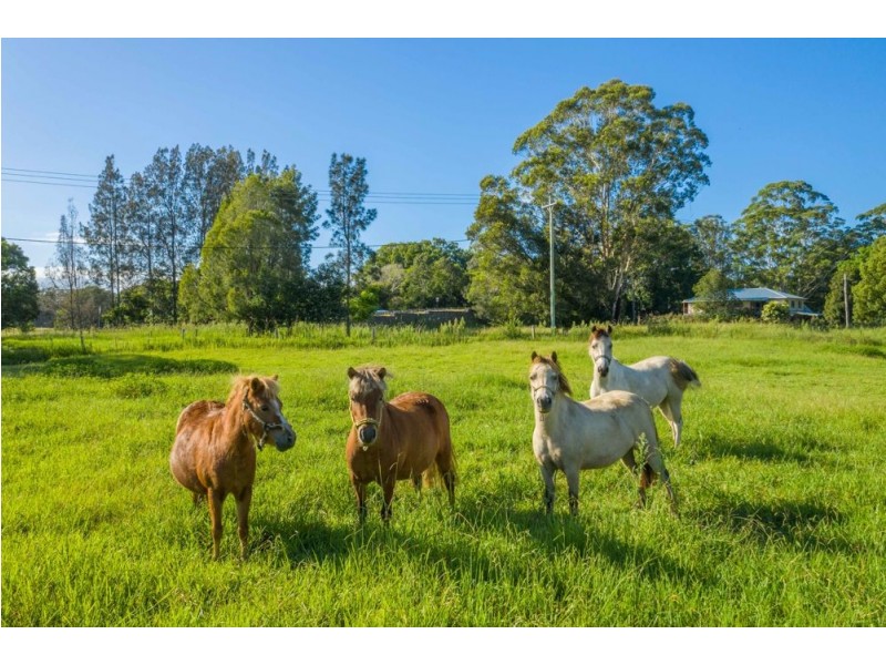 41 kendall rd, Kendall NSW 2439