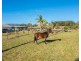 205 Pipeclay Road, Brombin NSW 2446