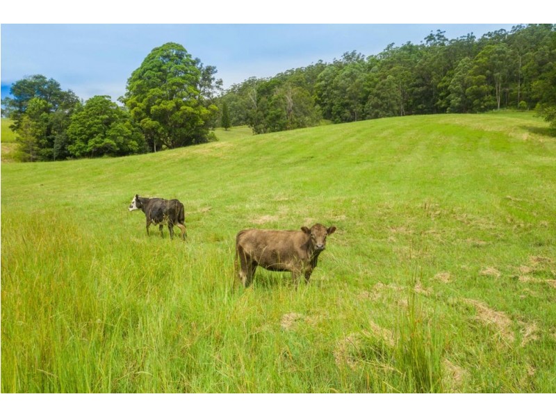 Congarinni North NSW 2447