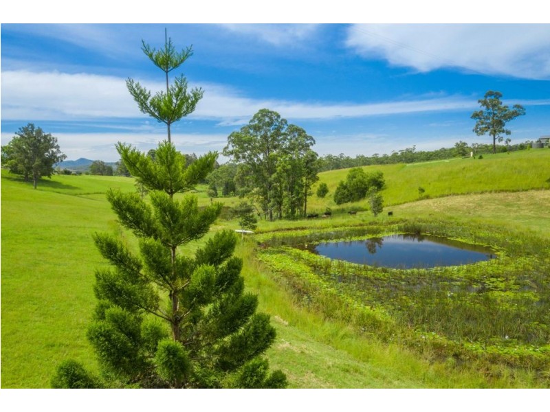 Congarinni North NSW 2447