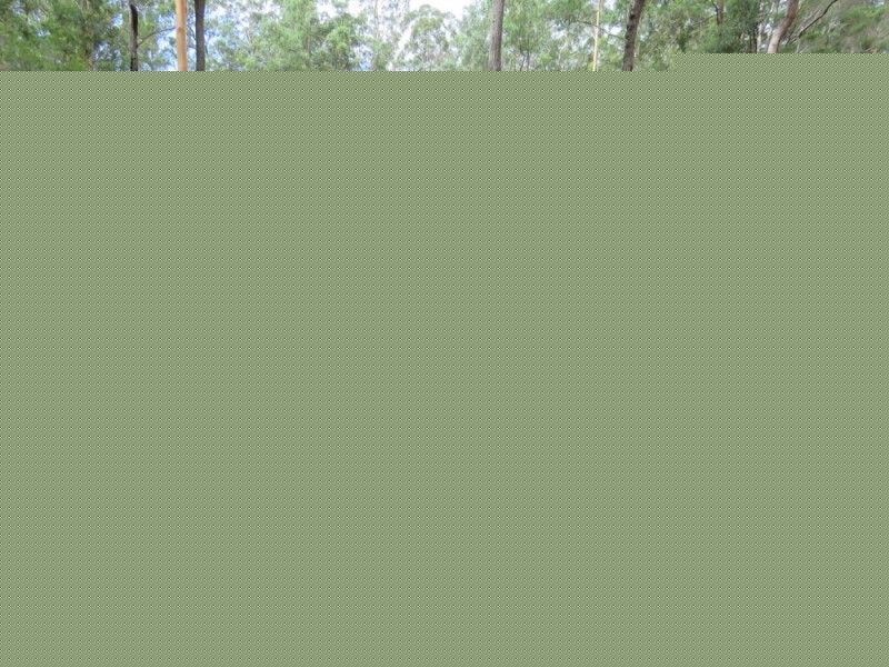 Lot 3 of 14 Ravenswood Rd, Kundabung NSW 2441