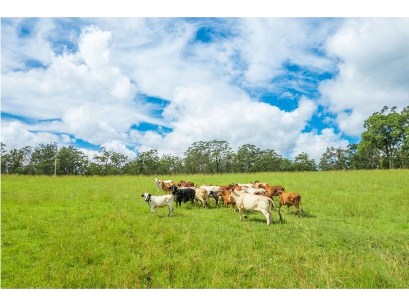 6 O’Learys Road, Kundabung NSW 2441