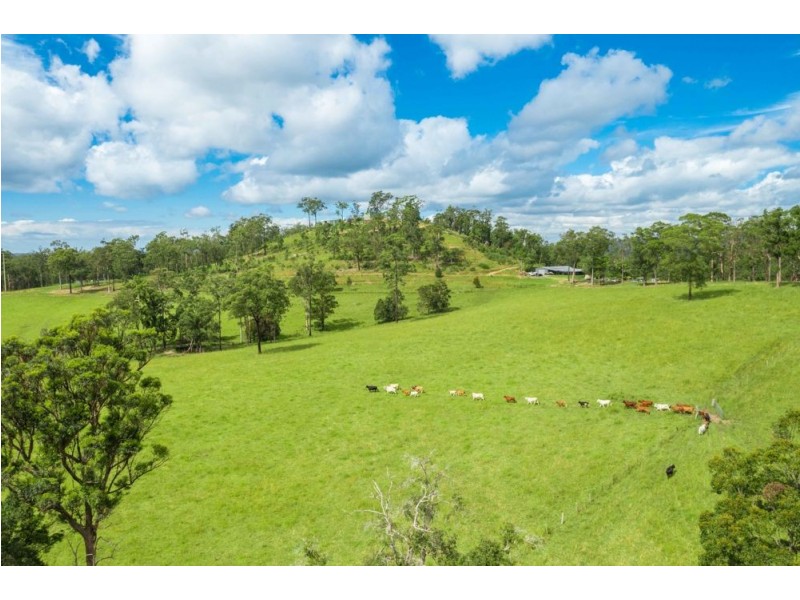 6 O’Learys Road, Kundabung NSW 2441