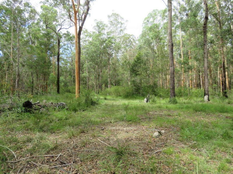 Lot 2 of 14 Ravenswood Road, Kundabung NSW 2441