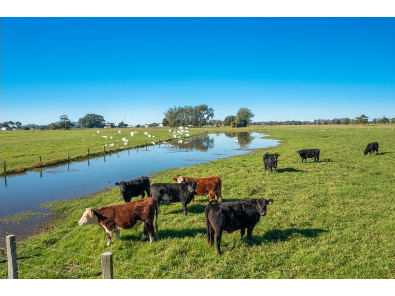 1512 SOUTH WEST ROCKS RD, Gladstone NSW 2440