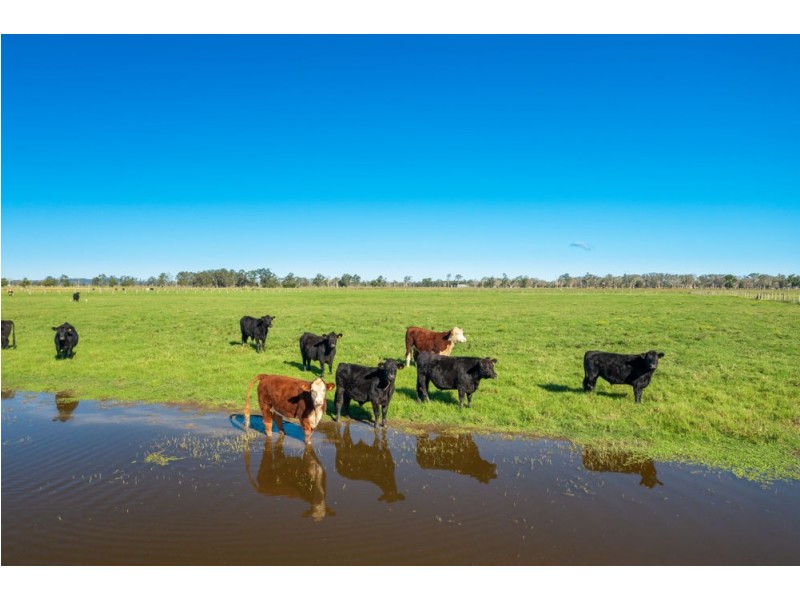 1512 SOUTH WEST ROCKS RD, Gladstone NSW 2440