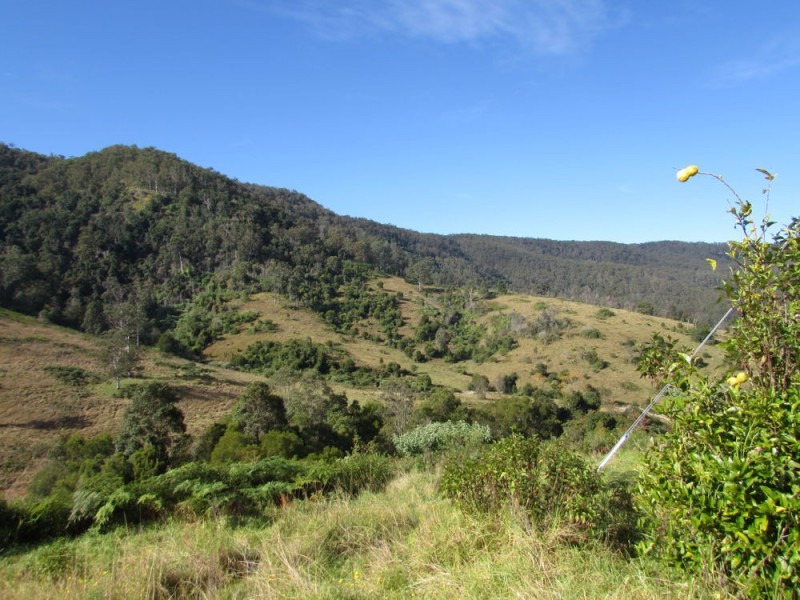 154 Inlet Road, Birdwood NSW 2446