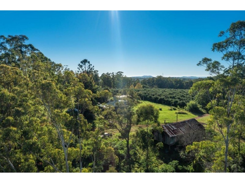 110B Baileys Road, Telegraph Point NSW 2441