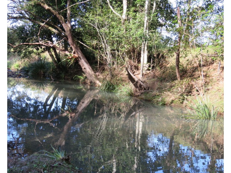 Lower Pappinbarra NSW 2446