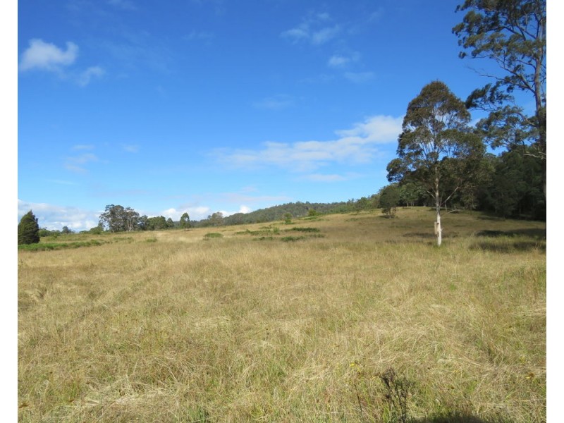 Lower Pappinbarra NSW 2446