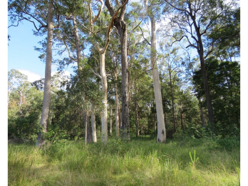 Lower Pappinbarra NSW 2446