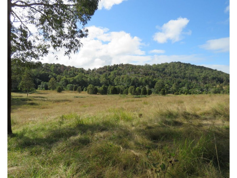 Lower Pappinbarra NSW 2446