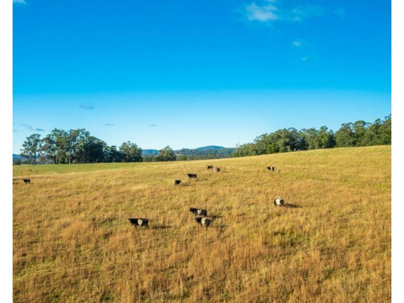 231 Upper Rollands Plns Rd, Rollands Plains NSW 2441