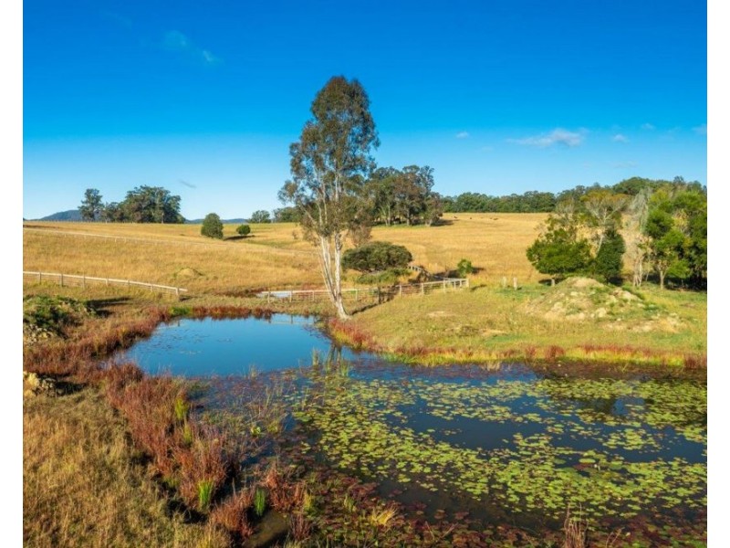 231 Upper Rollands Plns Rd, Rollands Plains NSW 2441