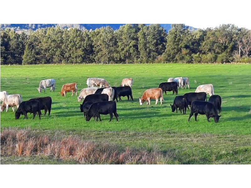 6520 Oxley Highway, Yarras NSW 2446