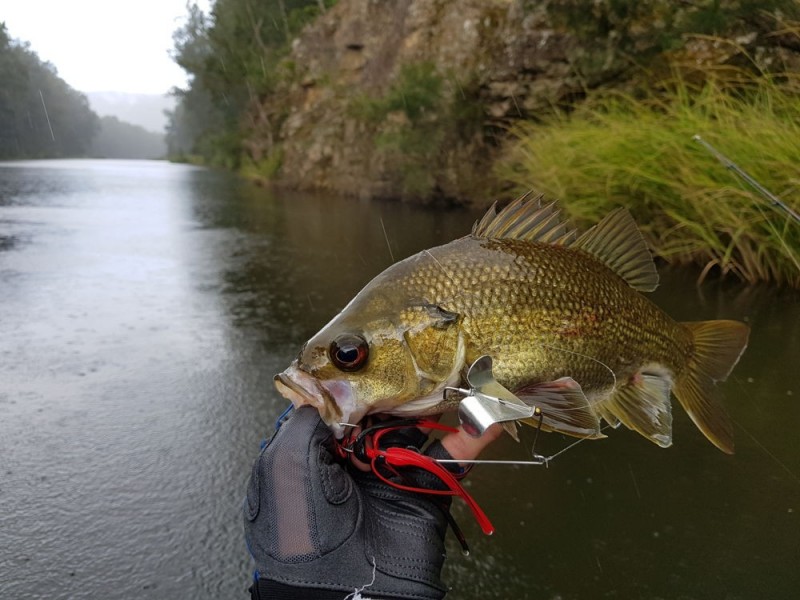 6520 Oxley Highway, Yarras NSW 2446