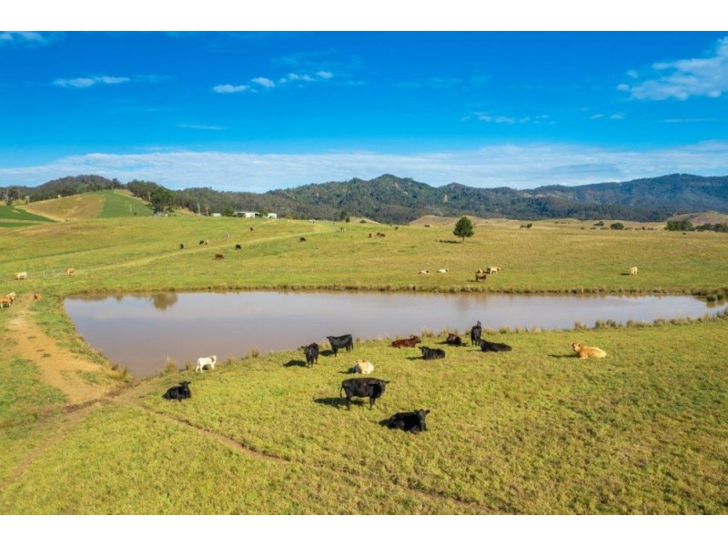 6520 Oxley Highway, Yarras NSW 2446