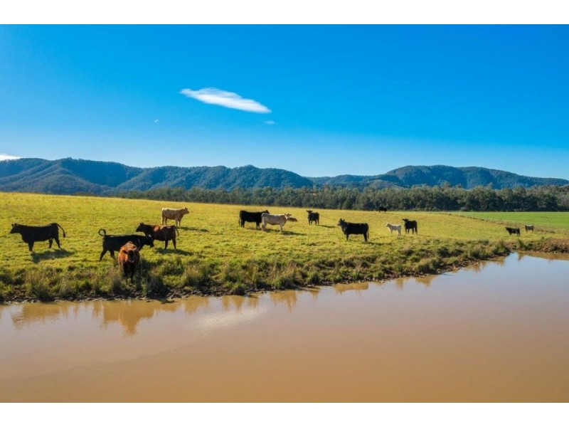 6520 Oxley Highway, Yarras NSW 2446