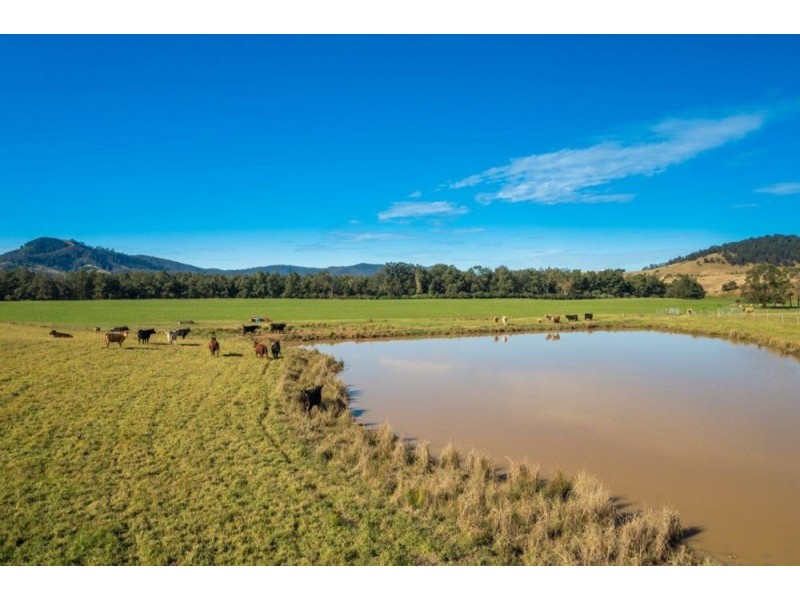 6520 Oxley Highway, Yarras NSW 2446