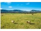 6520 Oxley Highway, Yarras NSW 2446