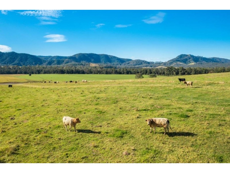 6520 Oxley Highway, Yarras NSW 2446