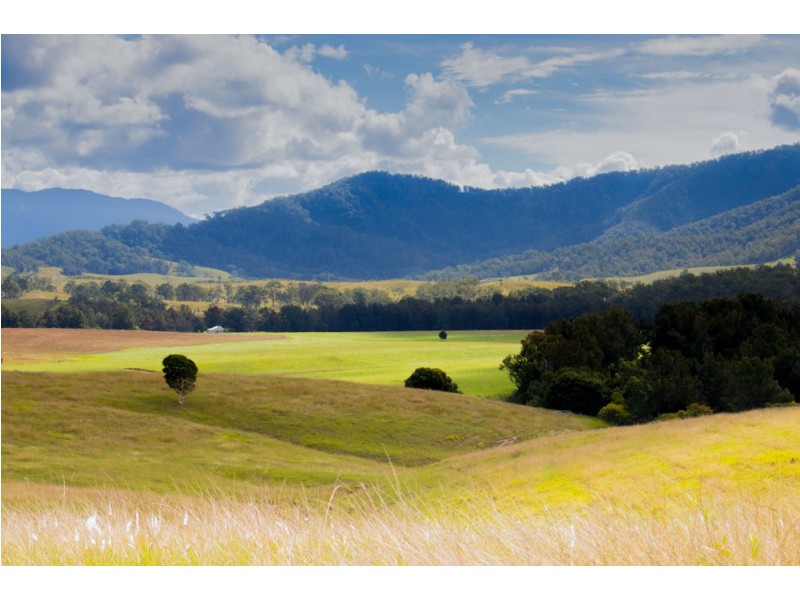 6520 Oxley Highway, Yarras NSW 2446