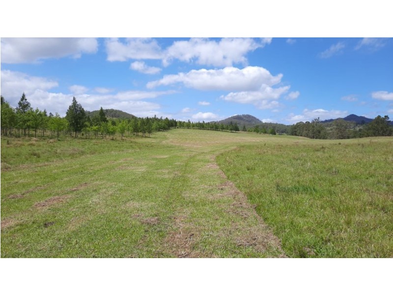 6520 Oxley Highway, Yarras NSW 2446