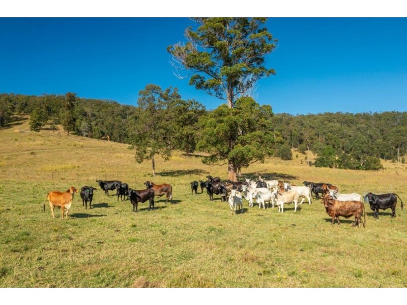 35 WALLABY DRIVE, Gum Scrub NSW 2441