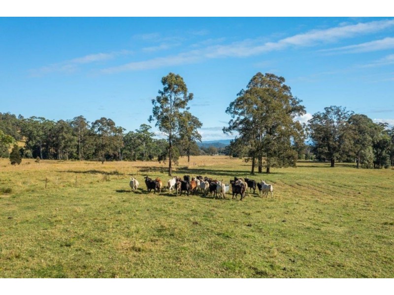 35 WALLABY DRIVE, Gum Scrub NSW 2441