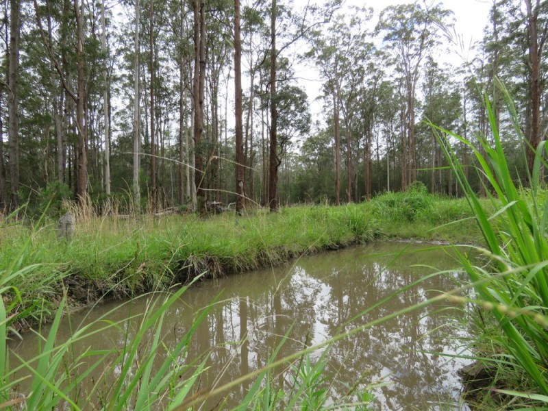 Kundabung NSW 2441