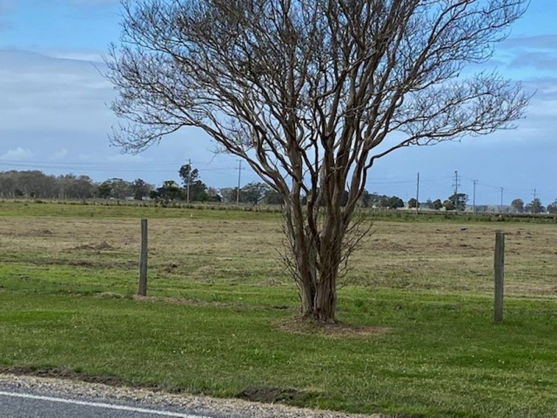 LOT 1 & 3 BARNARD STREET, Gladstone NSW 2440