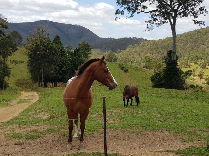 359 Tilbaroo Crossing., Toms Creek NSW 2446
