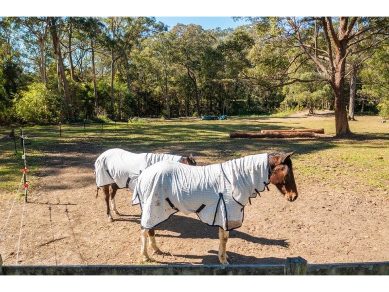 65 Sarahs Crescent, King Creek NSW 2446