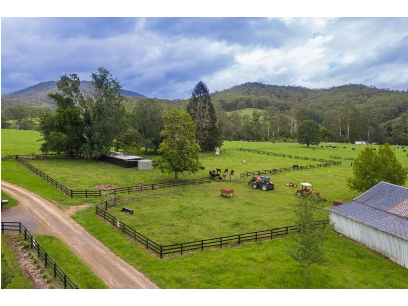383 Littles Loop Road, Rollands Plains NSW 2441