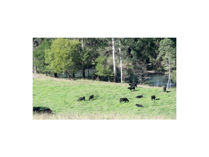 383 Littles Loop Road, Rollands Plains NSW 2441