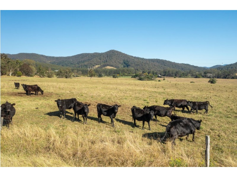 77 Shaws Road, Hollisdale NSW 2446