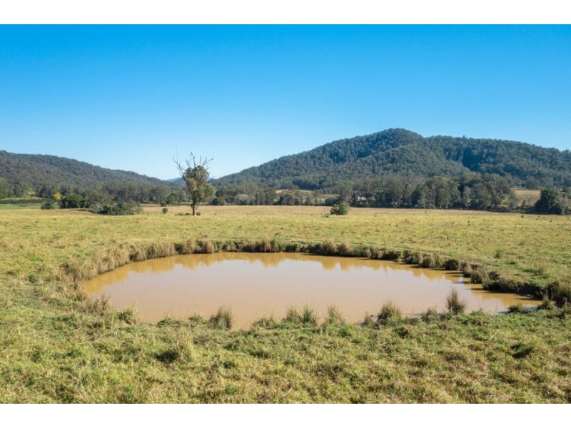 77 Shaws Road, Hollisdale NSW 2446