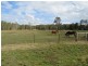 Telegraph Point NSW 2441