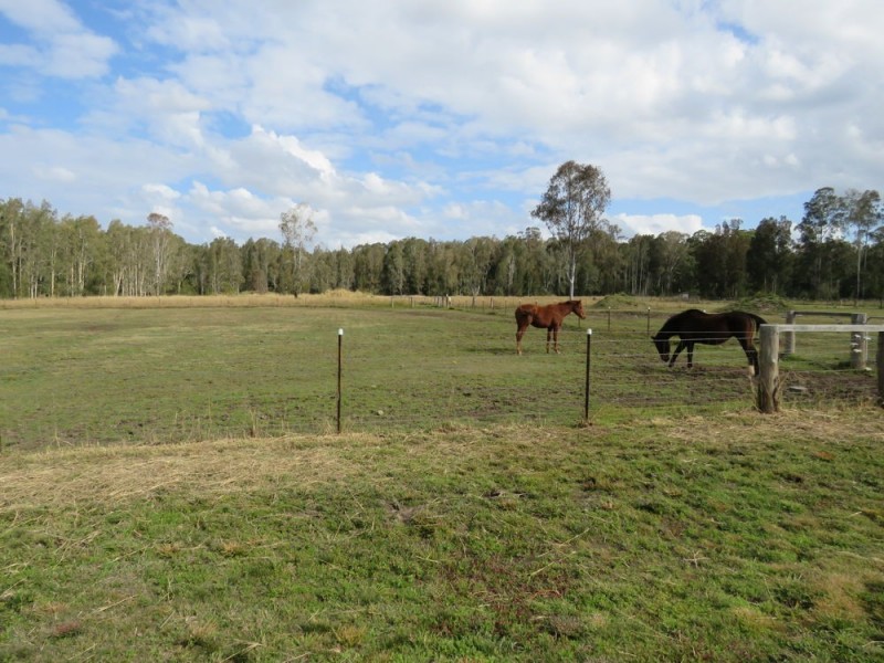 Telegraph Point NSW 2441
