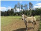 Telegraph Point NSW 2441