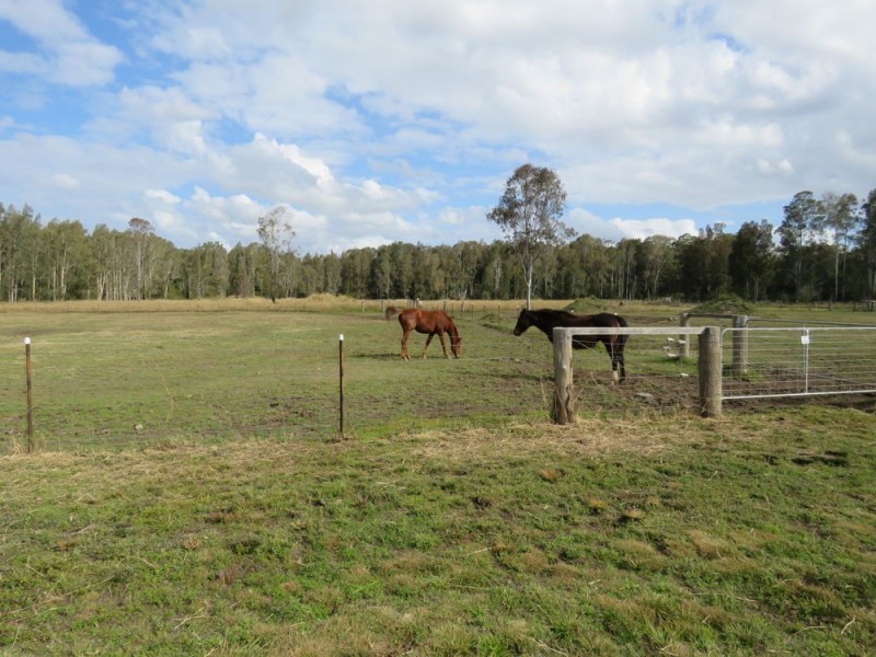 Telegraph Point NSW 2441
