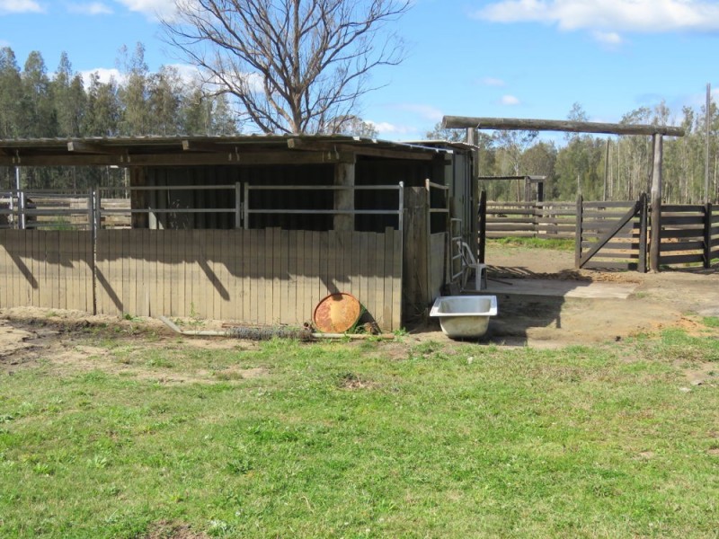 Telegraph Point NSW 2441