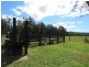 Telegraph Point NSW 2441