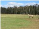 Telegraph Point NSW 2441