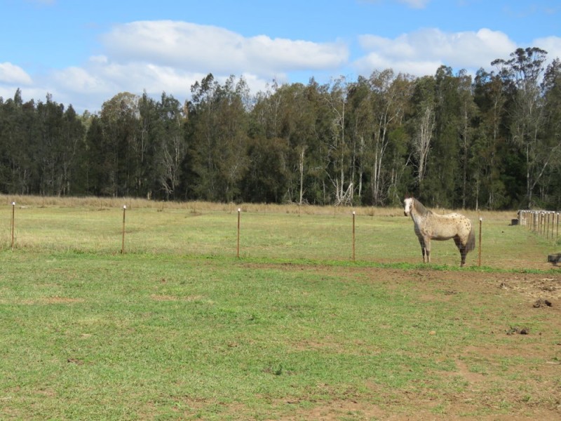 Telegraph Point NSW 2441